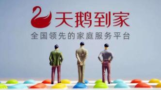 家政服務(wù) 現(xiàn)代生活的貼心助手與品質(zhì)保障